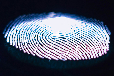 A close up of a brightly backlit lit fingerprint.