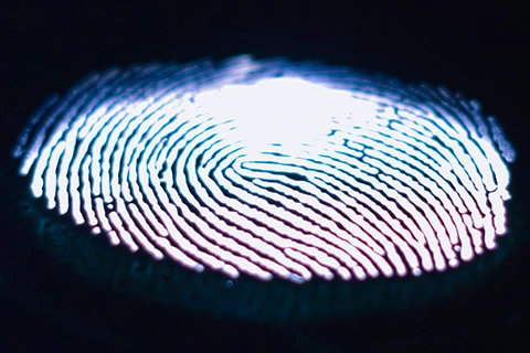 A close up of a brightly backlit lit fingerprint.
