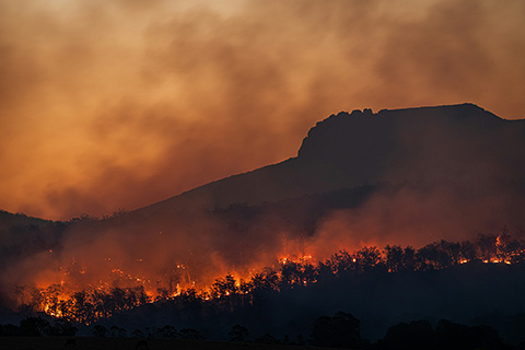 A burning forest in front of a mountain.