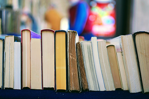 A row of books on a shelf.